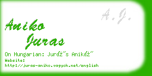 aniko juras business card